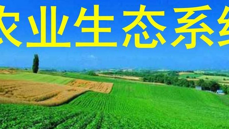生态农业模式：传统农业的绿色转型之路