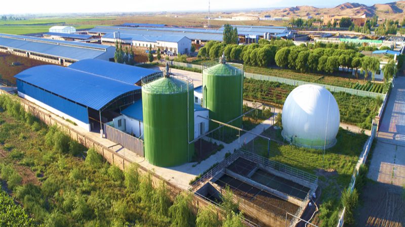 尿素价格波动：2024年农资批发市场解析**