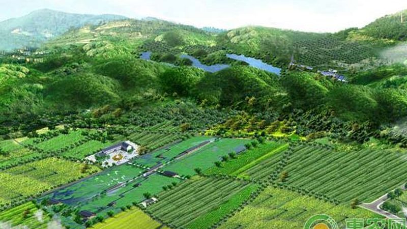 屋顶无土农业种植系统：参数解析与选型要点
