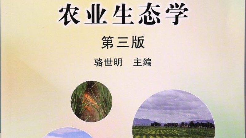 朝阳区庆典策划部