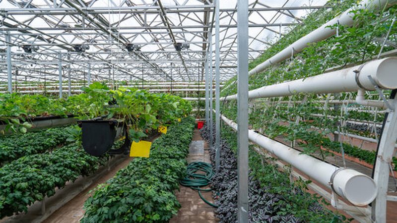 种植机械安装，这些步骤和注意事项你不可不知