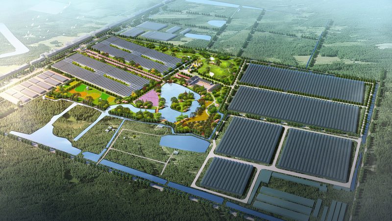 生鲜农产品批发代理：利润空间与行业洞察