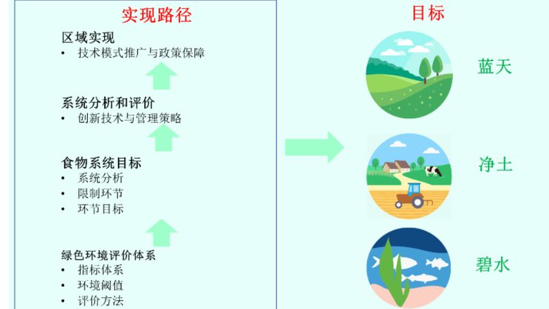 农产品配送合同范本：保障交易安全的法律依据**