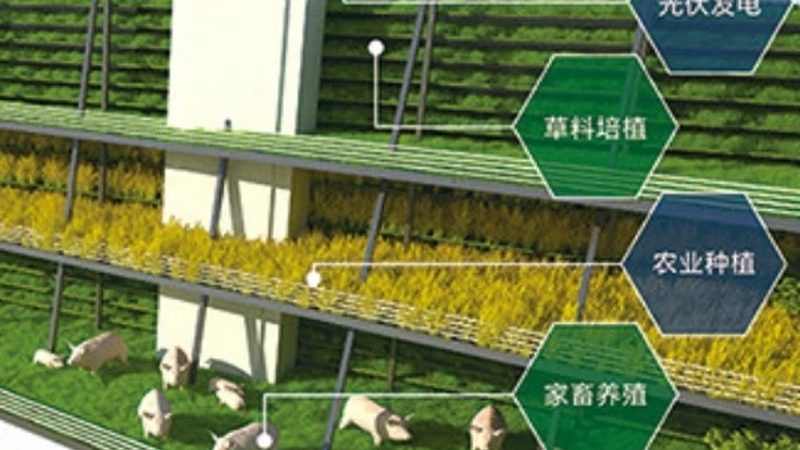 生态农业产品定价：平衡价值与市场**