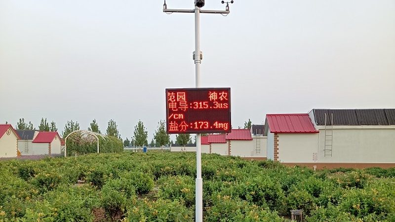 山东农资批发市场：种子批发价格背后的考量因素