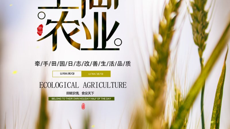 有机蔬菜与无公害蔬菜：标准解析与区别对比